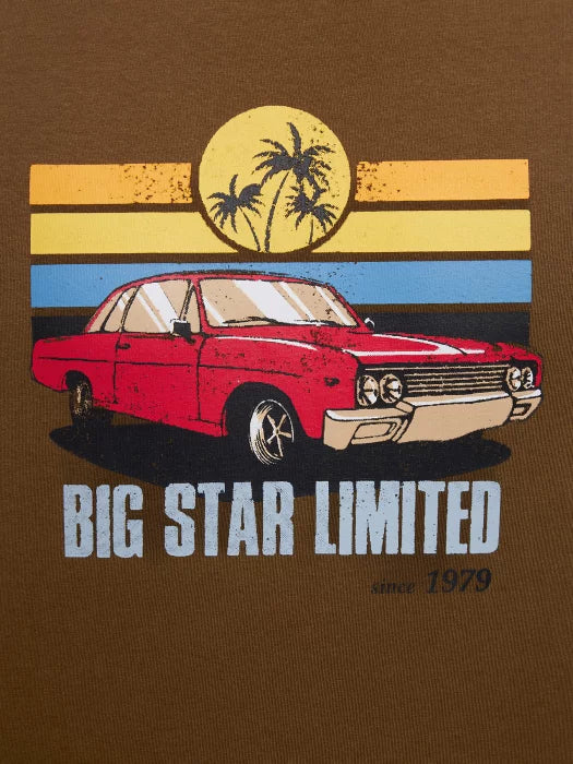 T-Shirt With Print | Khaki