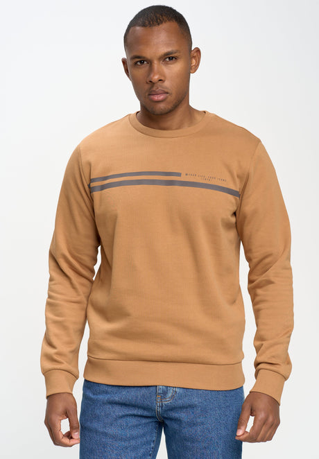 Casual sweatshirt with stripes | Camel Brown