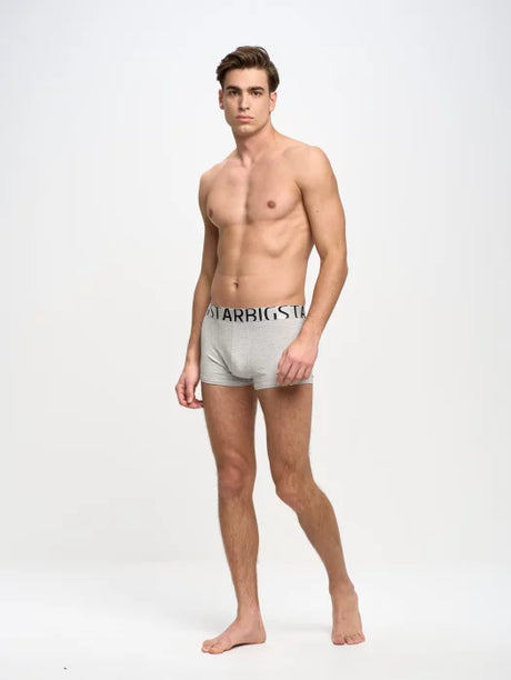 Classic Boxer - Bold Logo Big Star | Light Grey