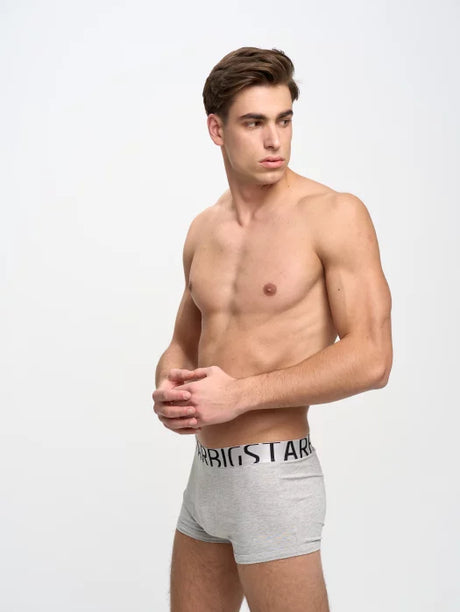 Classic Boxer - Bold Logo Big Star | Light Grey