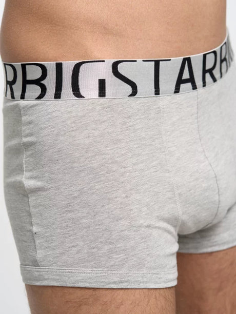 Classic Boxer - Bold Logo Big Star | Light Grey