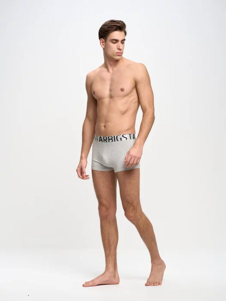 Classic Boxer - Bold Logo Big Star | Light Grey