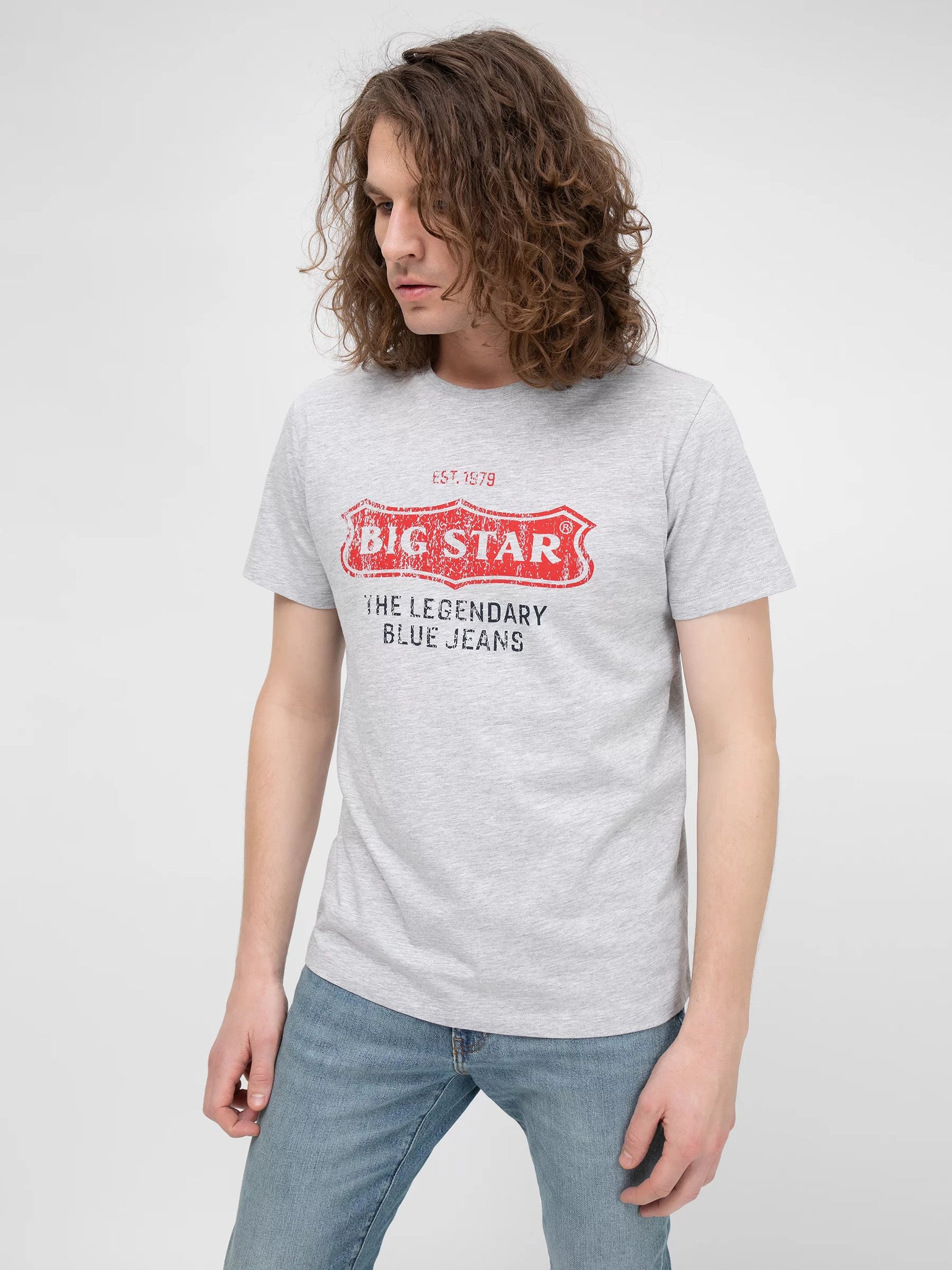 Logo T-Shirt BIG STAR | Light Grey