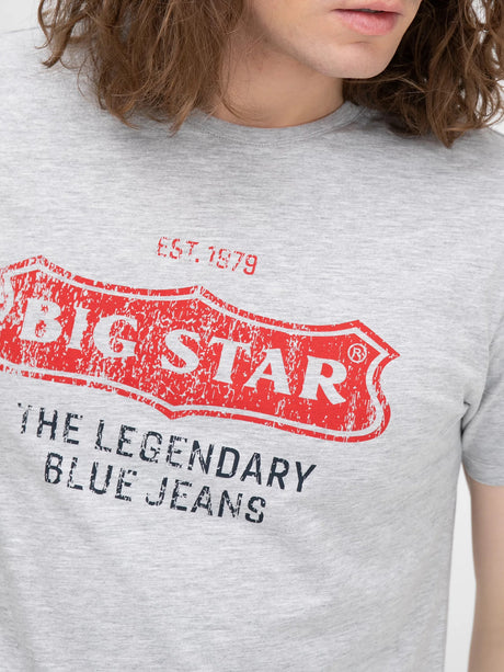 Logo T-Shirt BIG STAR | Light Grey