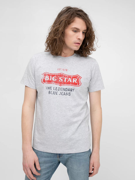 Logo T-Shirt BIG STAR | Light Grey