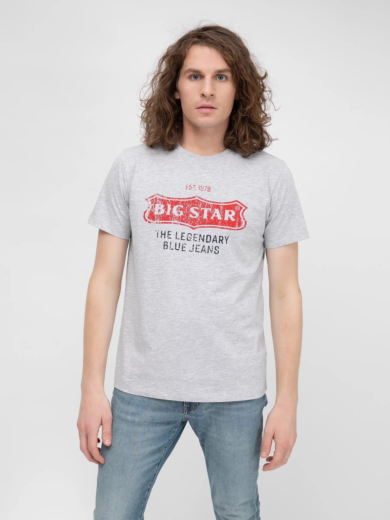 Logo T-Shirt BIG STAR | Light Grey